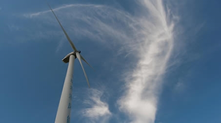 商標法規(guī)定了聊城市哪些標志不能作為商標注冊